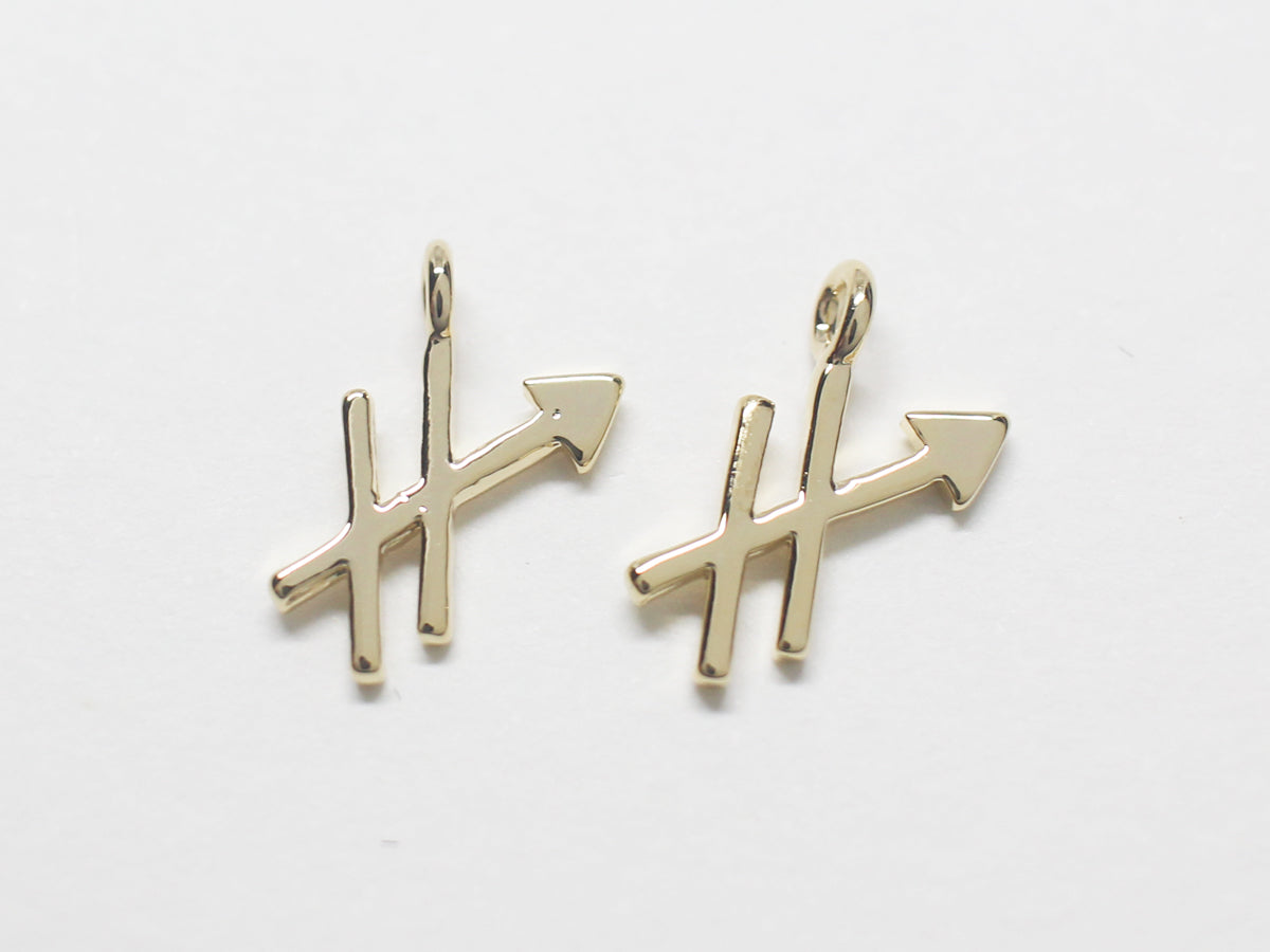 [P0870]/2pcs/Zodiac Sign Pendant/Brass/Gold/12mm